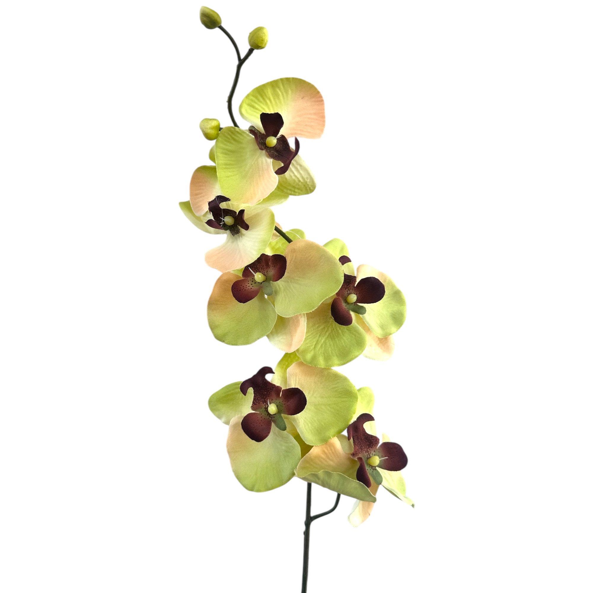Kunstorchidee Kunstblume, ORCHIDEENZWEIG, Orchidee 78cm, Gasper, Höhe 78.00 cm