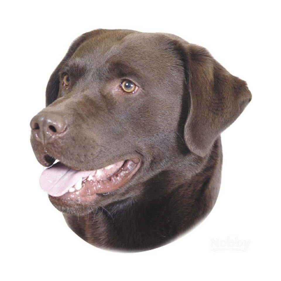 Aufkleber Aufkleber Labrador braun