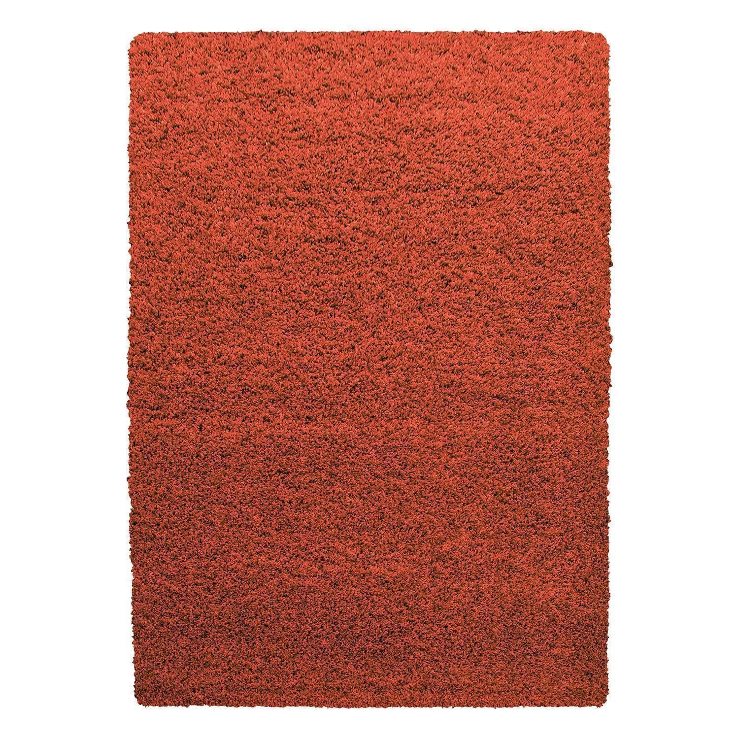SchönesWohnen24 Hochflor-Teppich Hochflor Teppich LIFE Terrakotta