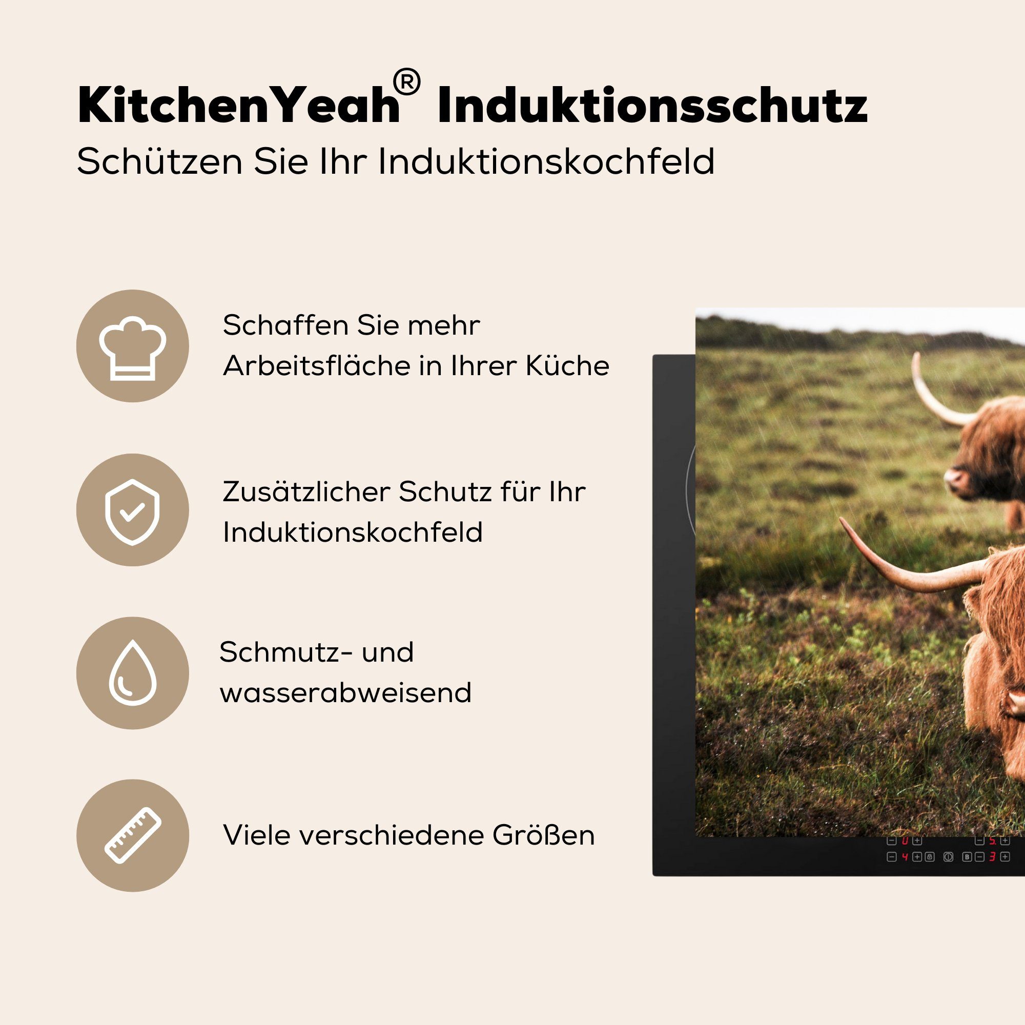 Herdblende-/Abdeckplatte MuchoWow für 81x52 Schutz Gras (1 die Vinyl, - küche, Ceranfeldabdeckung cm, Induktionskochfeld - Sonne, tlg), Kühe