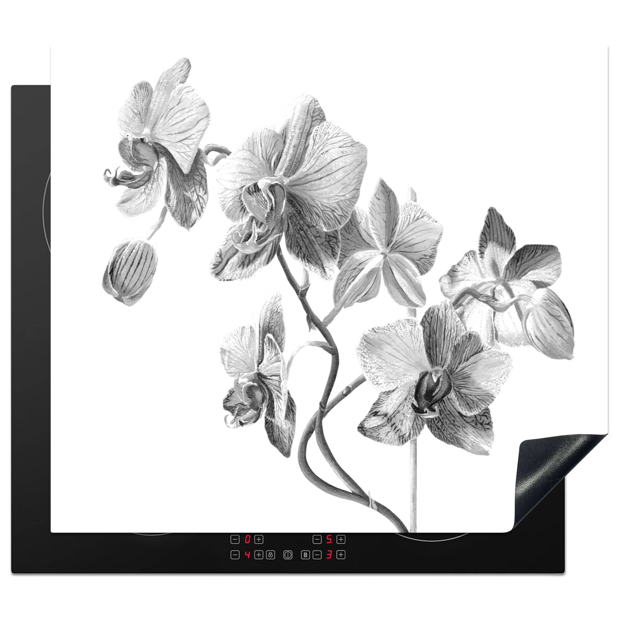 MuchoWow Herdblende-/Abdeckplatte Eine Illustration von rosa Orchideen auf einem weißen Hintergrund -, Vinyl, (1 tlg), 60x52 cm, Mobile Arbeitsfläche nutzbar, Ceranfeldabdeckung