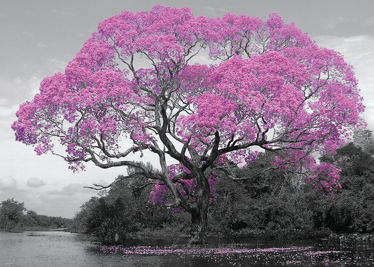 GB eye Poster Tree Blossom Poster 140 x 100 cm
