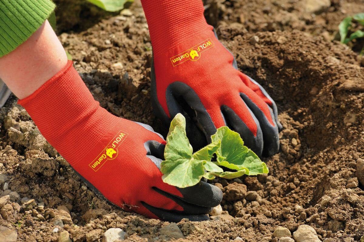 WOLF-Garten Gartenhandschuhe Wolf-GartenGH-BO 10 BEET-HANDSCHUH