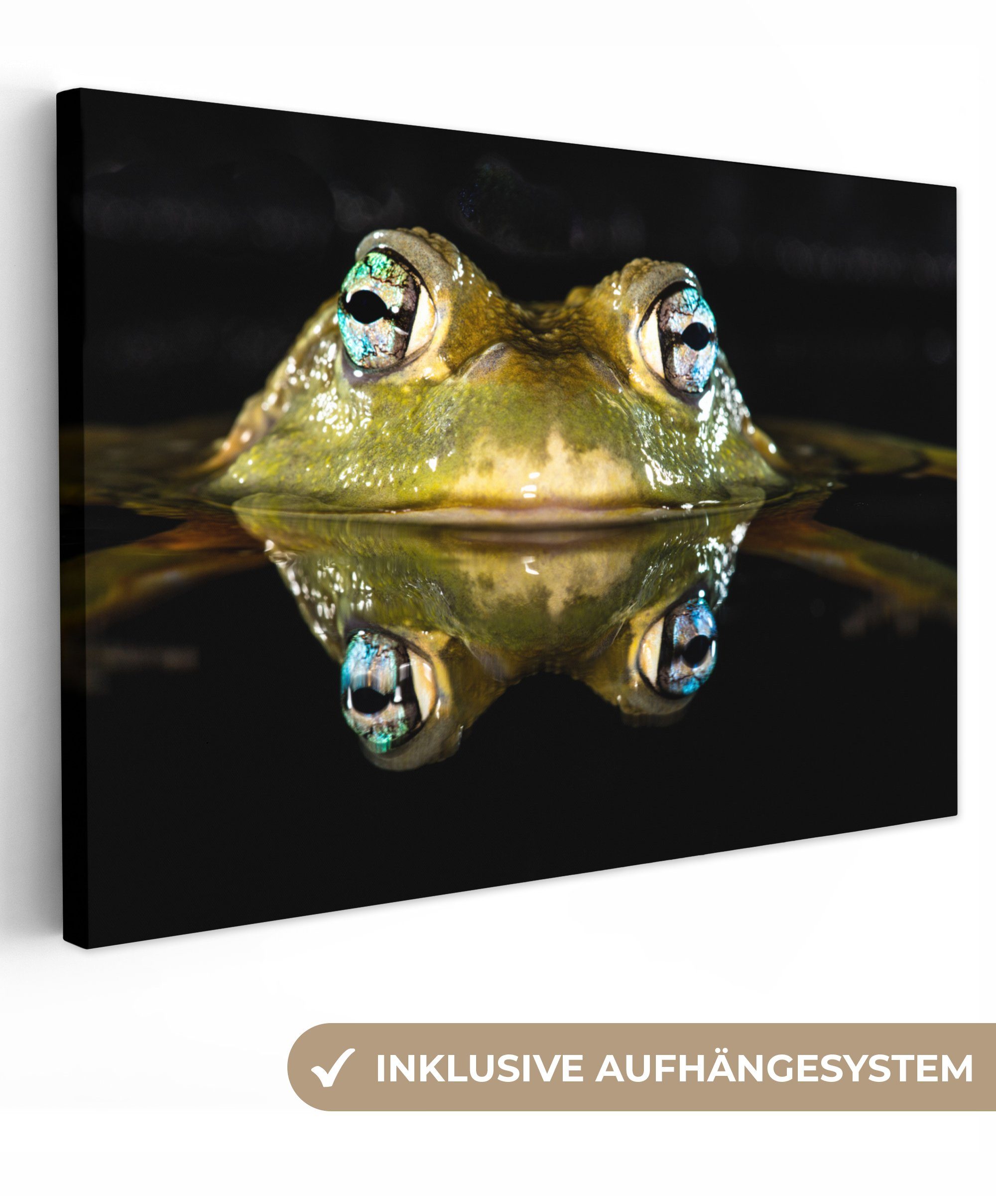 OneMillionCanvasses® Leinwandbild Frosch - Augen - Porträt, (1 St), Wandbild Leinwandbilder, Aufhängefertig, Wanddeko, 30x20 cm