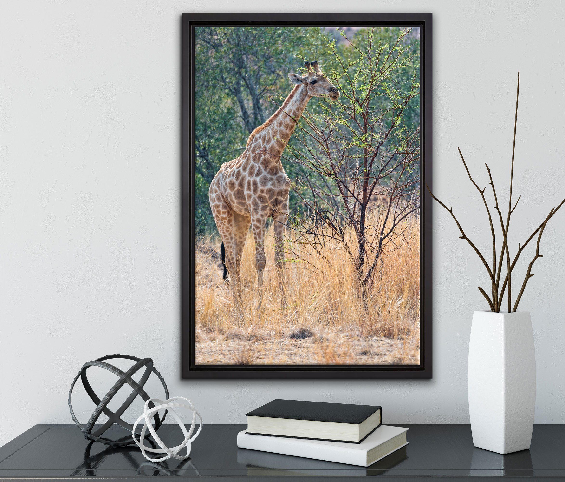 Pixxprint Leinwandbild Giraffe beim Fressen, Wanddekoration fertig (1 Schattenfugen-Bilderrahmen bespannt, gefasst, Zackenaufhänger inkl. Leinwandbild in einem St)