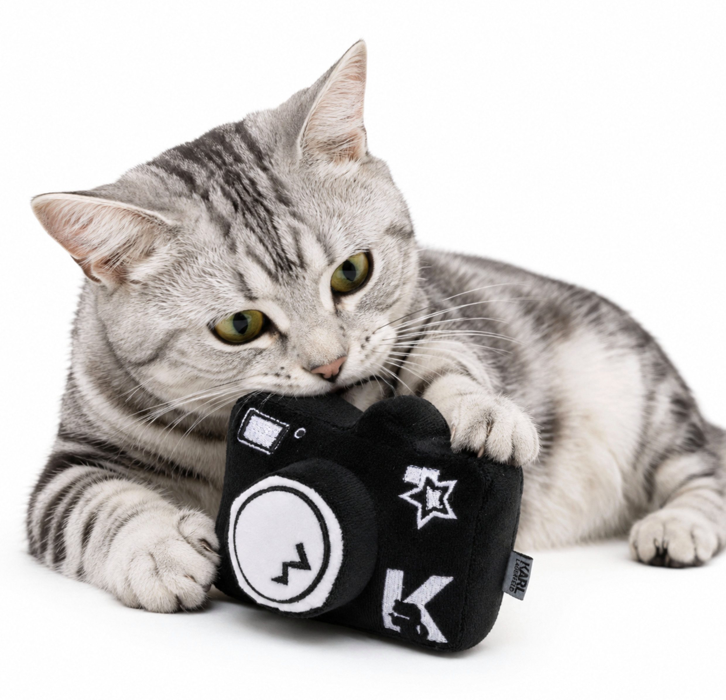 KARL LAGERFELD Hunde-Dummy Haustiere Hunde Katzen Plüsch-Spielzeug Quietschspielzeug, Seltenes Sammlerstück aus einer früheren Haustierkollektion