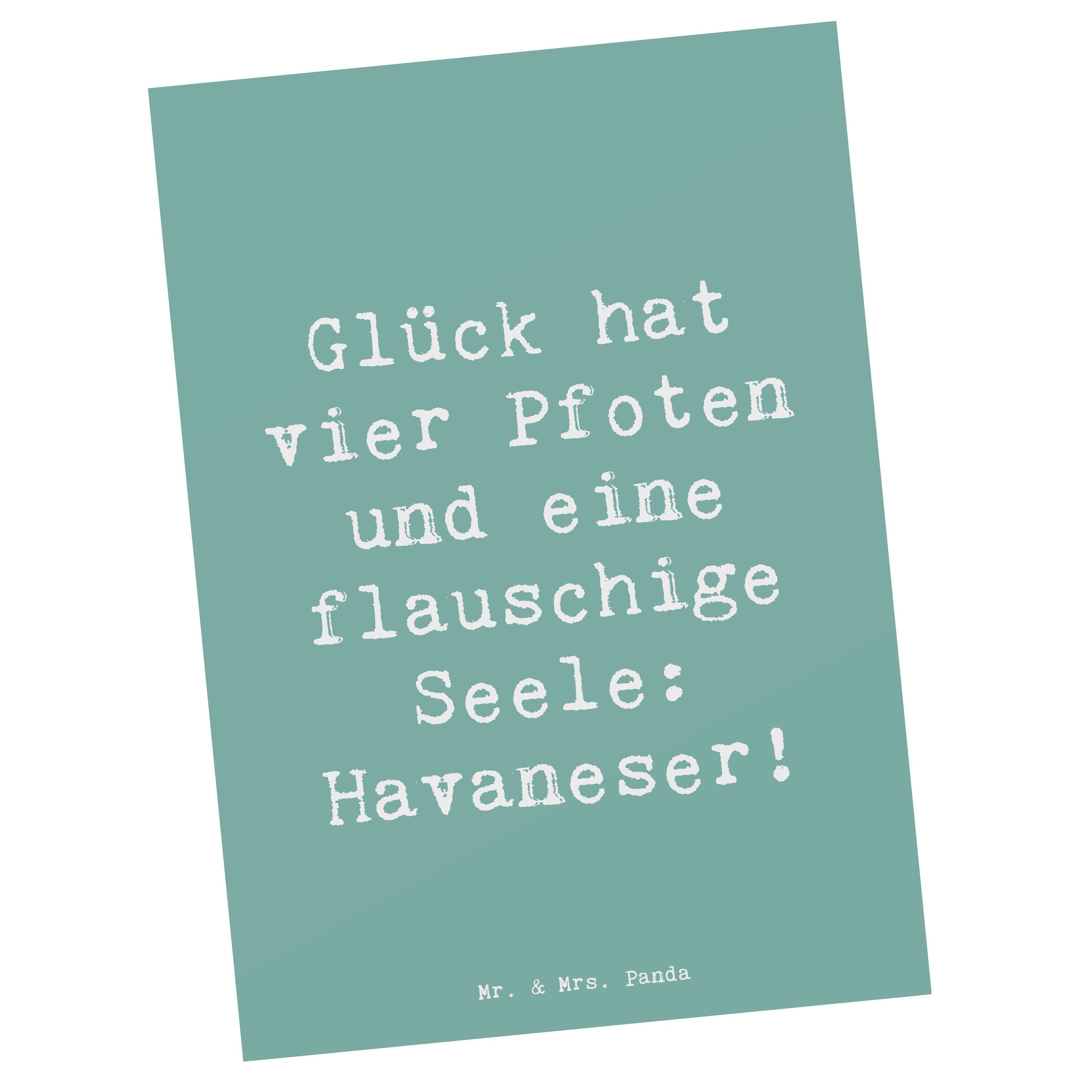 Mr. & Mrs. Panda Postkarte Spruch Havaneser Glück, Grußkarte, Meeresbrise, Postkarte, Hunderasse, Hunderassen Charakter Havaneser Charakter Geschenk