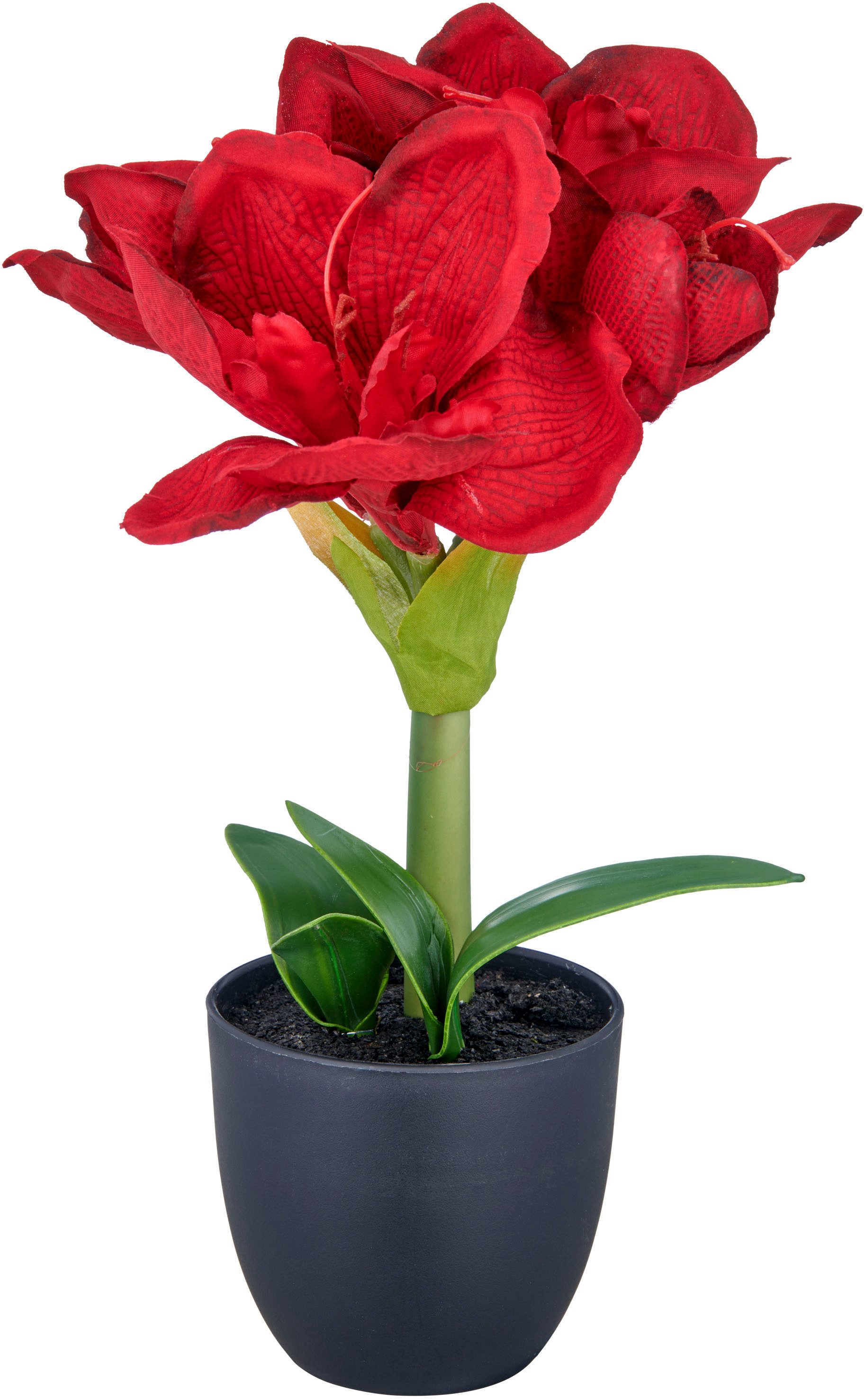 Kunstblume Amaryllis, Creativ green, Höhe 35 cm, mit traumhaft schöner Blüte