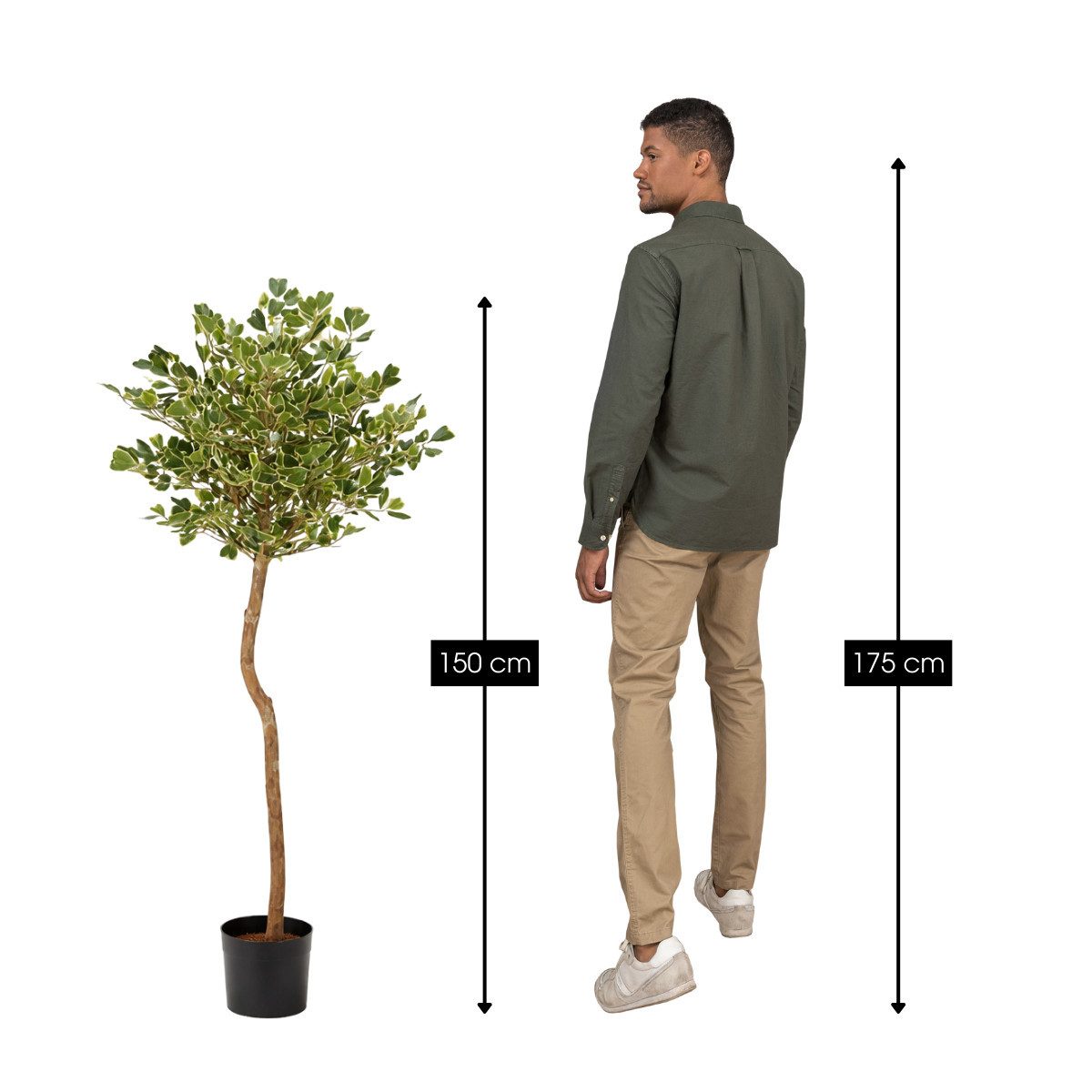 Kunstpflanze Mica Decorations Ficus Triangularis – H150 x Ø90 cm – Grün, Mica Decorations, Höhe 150 cm