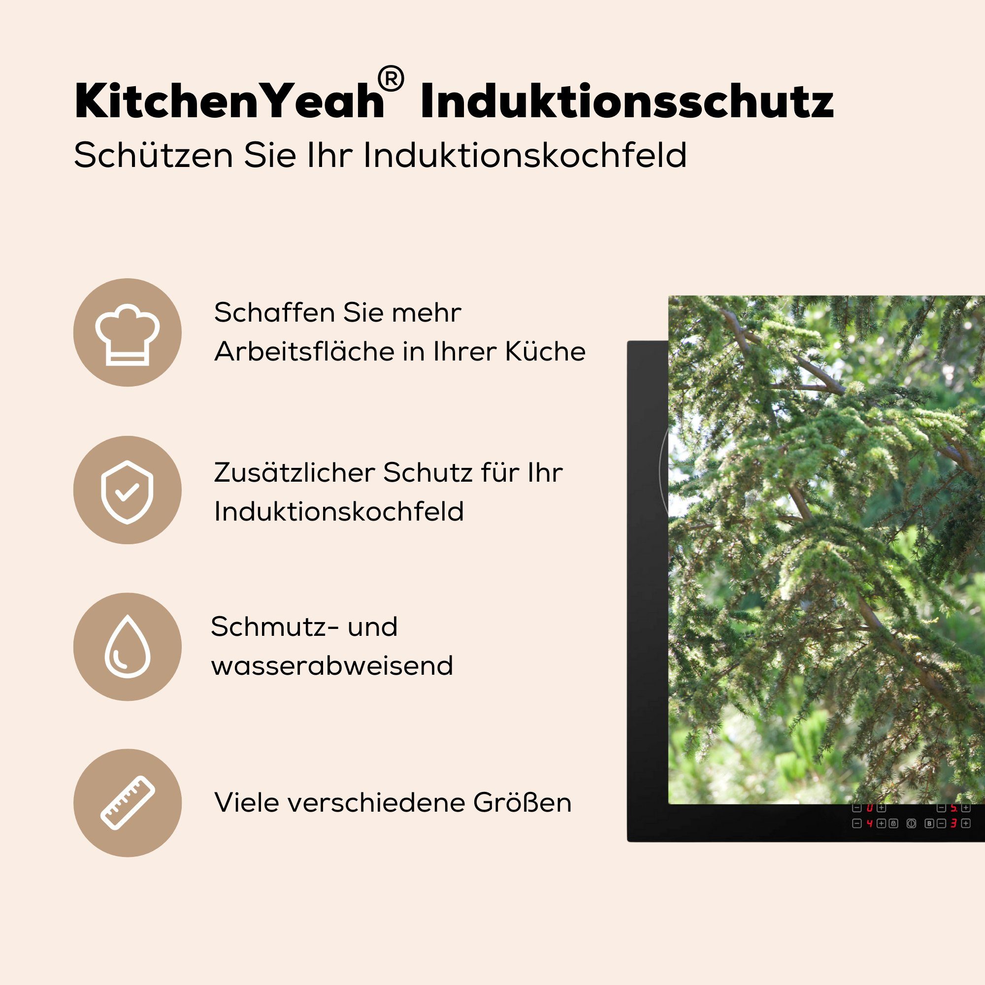 Induktionskochfeld Herdblende-/Abdeckplatte küche, Schutz für 81x52 (1 Baum tlg), die Blätter, Panda Ceranfeldabdeckung - - cm, Vinyl, MuchoWow