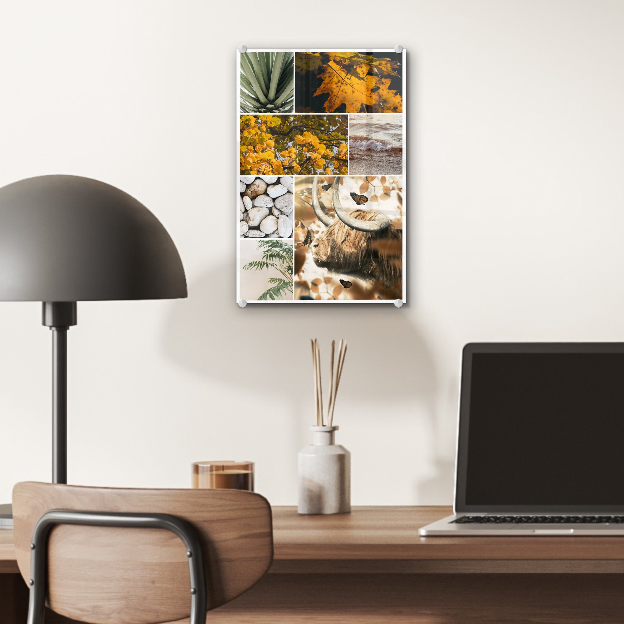 MuchoWow Acrylglasbild Schottische Highlander auf Collage (1 - - Pflanzen, auf - Wanddekoration Glas Wandbild Glas St), - Meer Bilder - - Glasbilder Foto