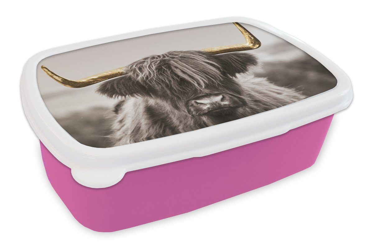MuchoWow Lunchbox Schottischer Highlander - Brotdose Kinder, (2-tlg), Schwarz Kunststoff, Mädchen, Kunststoff Snackbox, - Gold Brotbox Erwachsene, rosa - für Weiß