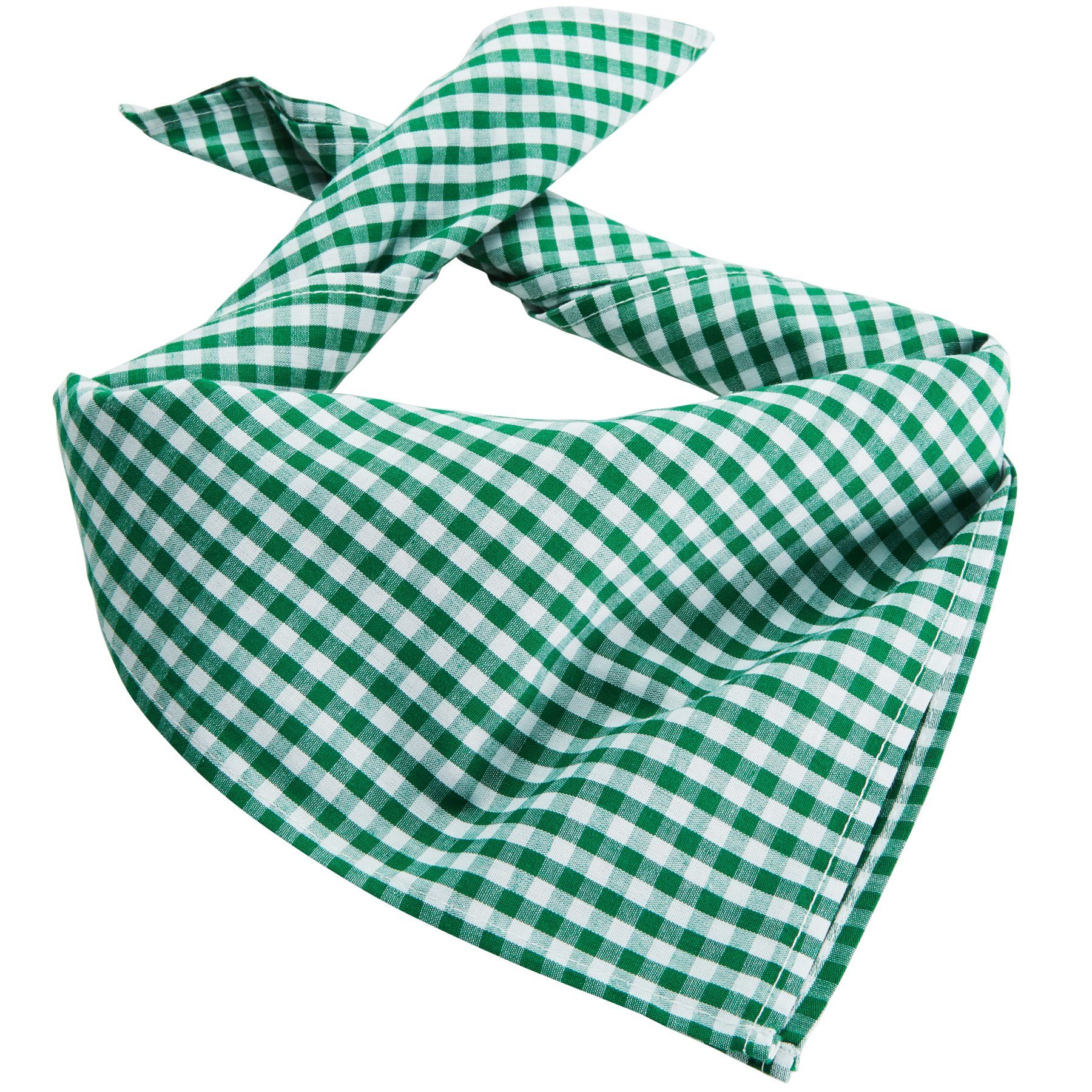 Trachtentuch dressforfun kariert grün-weiß Halstuch