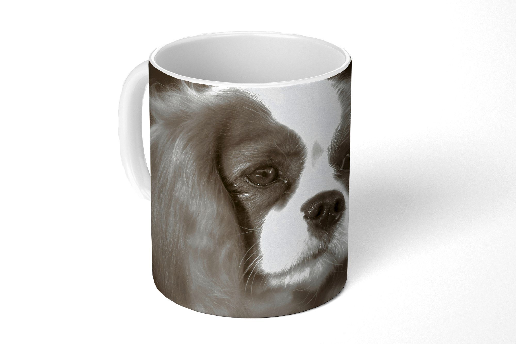 MuchoWow Tasse Schwarz-Weiß-Foto eines Cavalier King Charles Spaniels, Keramik, Kaffeetassen, Teetasse, Becher, Teetasse, Geschenk