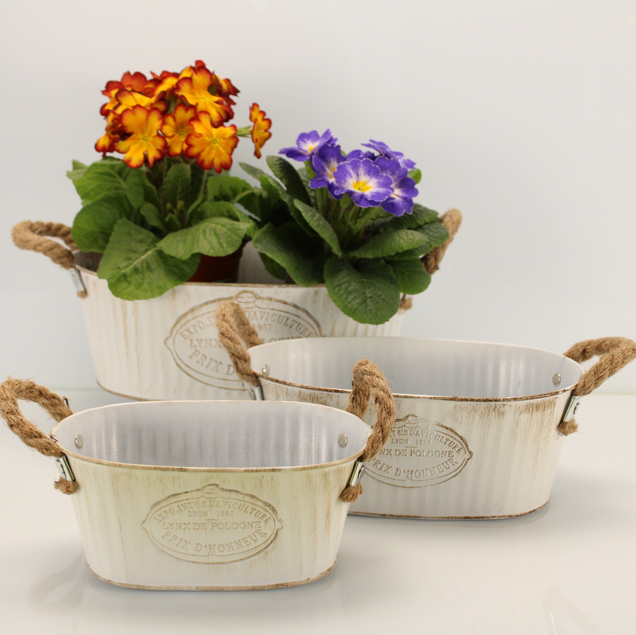 Online-Fuchs Blumentopf 3 Blumentöpfe aus Metall günstig online kaufen