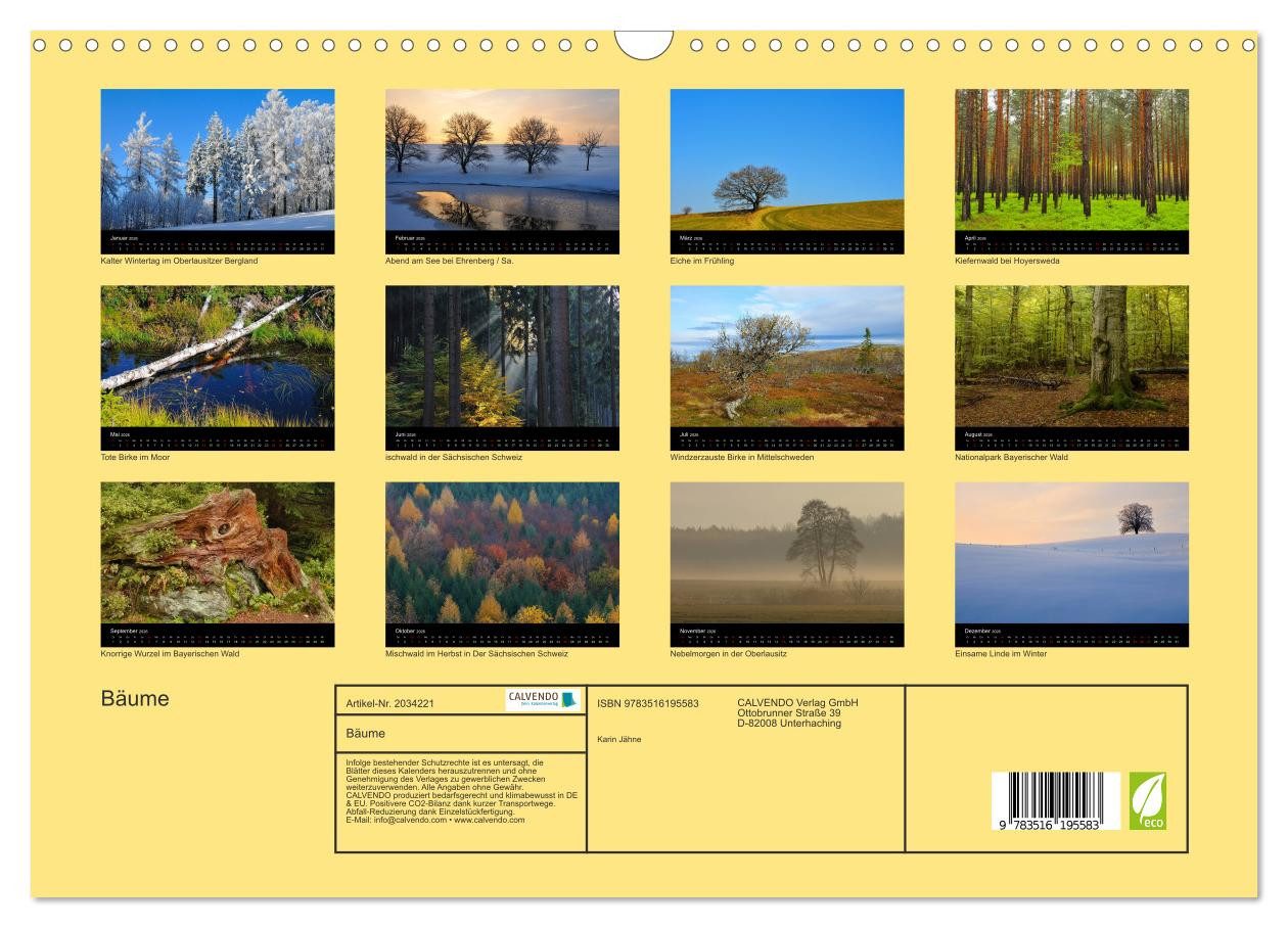 Thumbnail - CALVENDO Wandkalender Bäume (Wandkalender 2026 DIN A3 quer), CALVENDO Monatskalender
