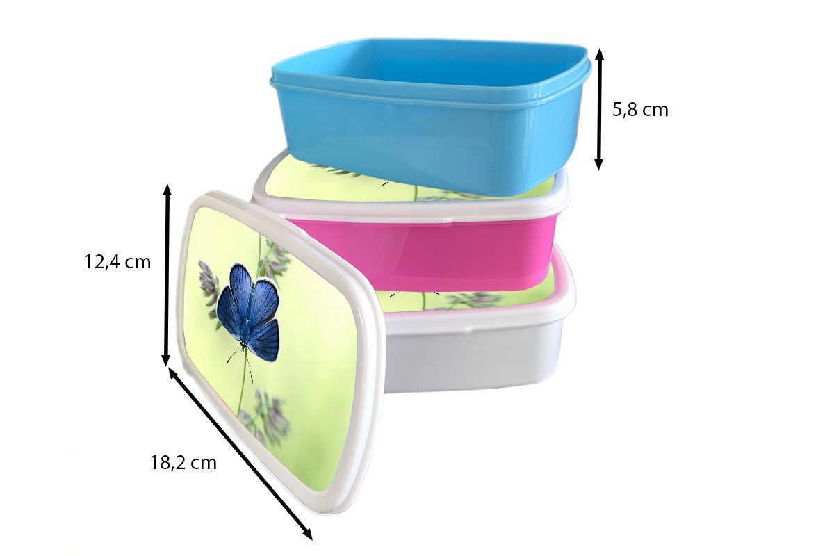 Snackbox, Brotbox Blauer Kunststoff Schmetterling, MuchoWow Kinder, Mädchen, Erwachsene, Brotdose für (2-tlg), Lunchbox rosa Kunststoff,