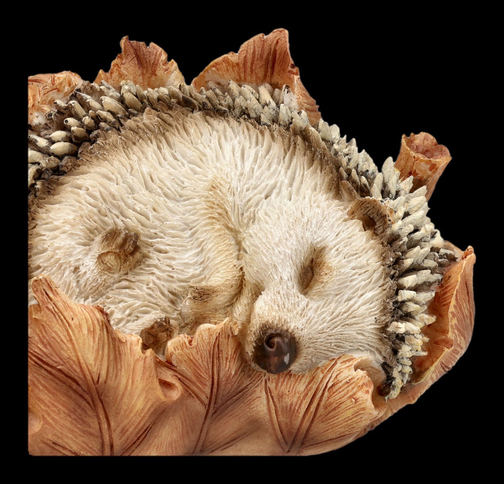Figuren Shop GmbH Gartenfigur Igel Statue – Gartenfigur Tierdeko Winterschlaf Blatt Dekofigur 9 cm – Bild 4 von 5