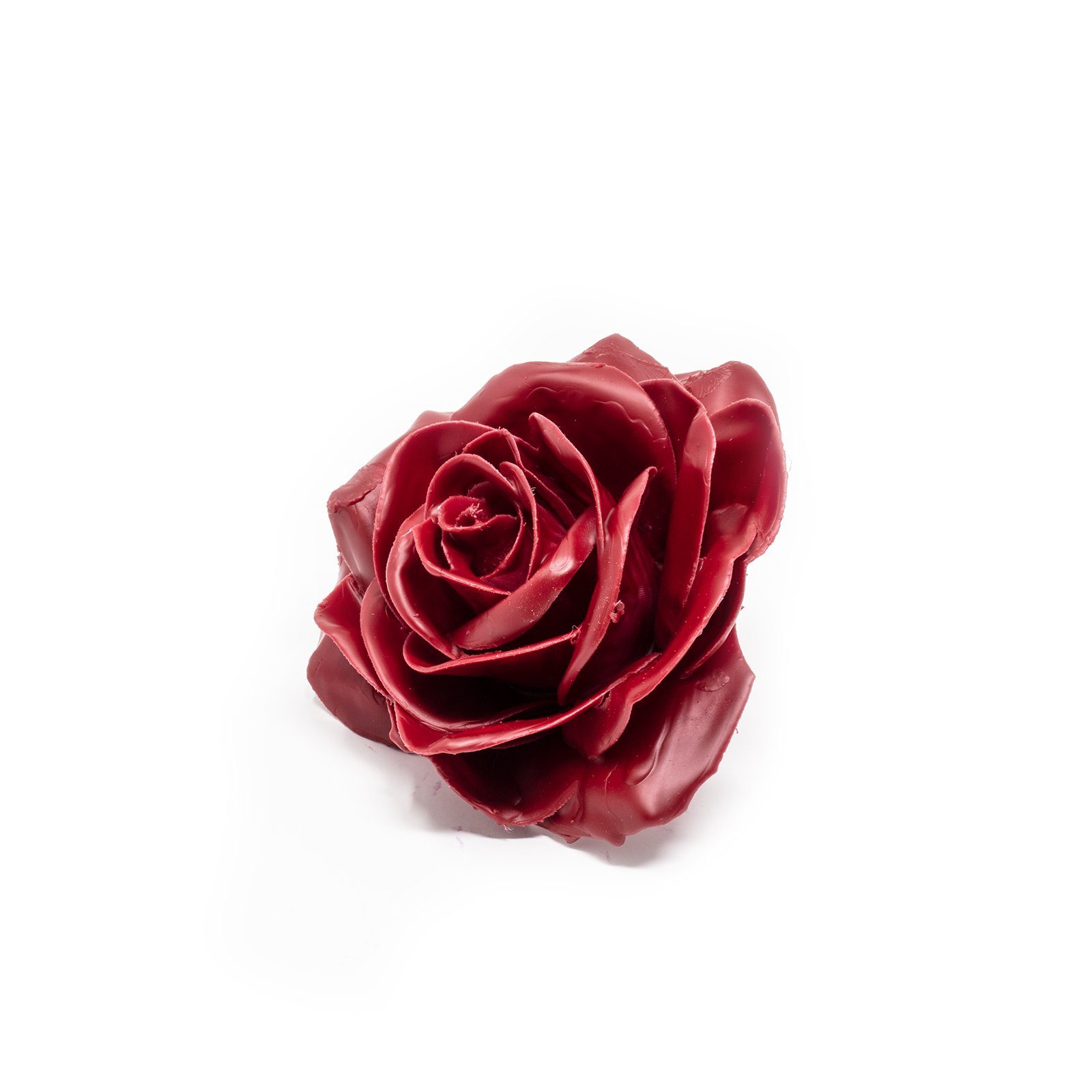 Trockenblume 10er-Set Wachsrose - Cherry Red, Primera, Höhe 20 cm
