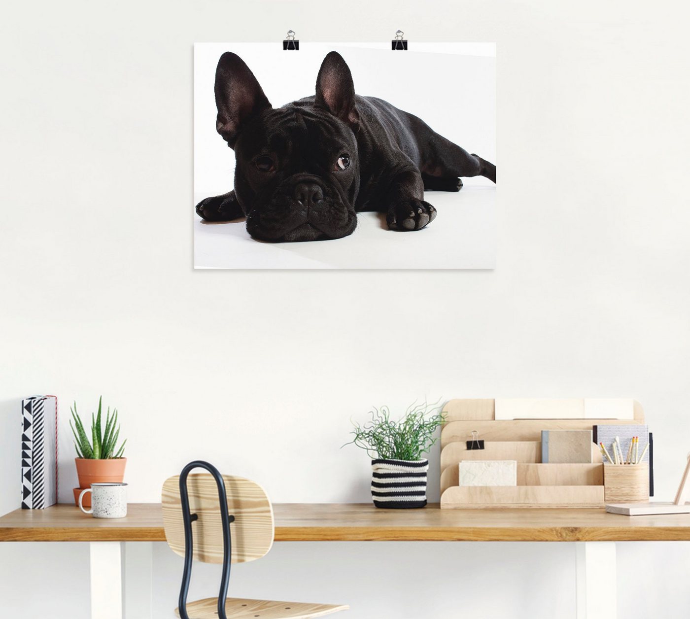 Artland Wandbild »Bulldogge«, Haustiere (1 Stück), in vielen Größen & Produktarten - Alubild / Outdoorbild für den Außenbereich, Leinwandbild, Poster, Wandaufkleber / Wandtattoo auch für Badezimmer geeignet-HomeTrends
