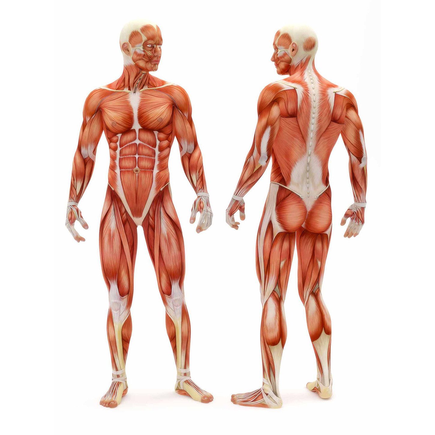#DoYourSports Faszienrolle Anila, Oberfläche mit Wellenstruktur für besonders intensive Massage