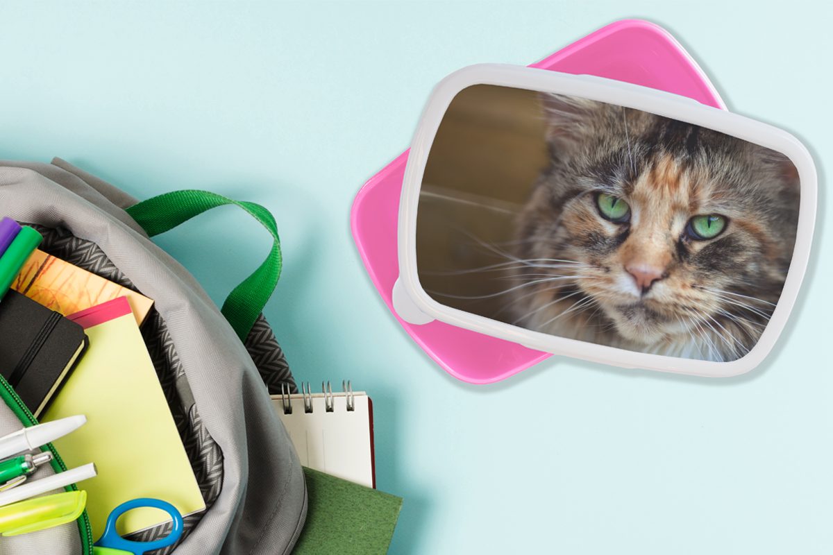 Erwachsene, für Katze mit MuchoWow Maine Lunchbox Coon rosa Brotbox Kunststoff Kunststoff, Mädchen, grünen (2-tlg), Augen, Kinder, Brotdose Snackbox,