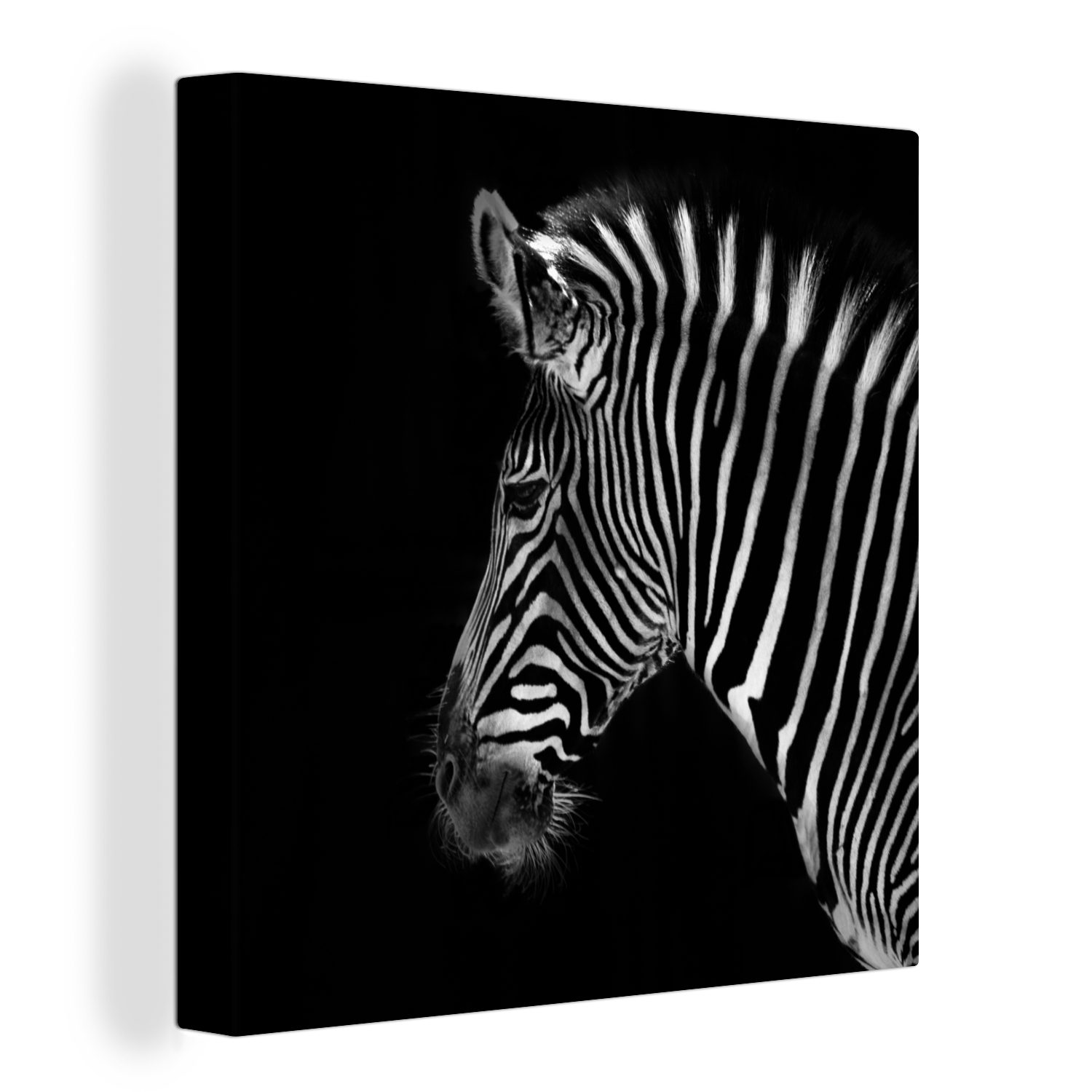 OneMillionCanvasses® Leinwandbild Zebra - Wilde Tiere - Schwarz, (1 St), Leinwand Bilder für Wohnzimmer Schlafzimmer