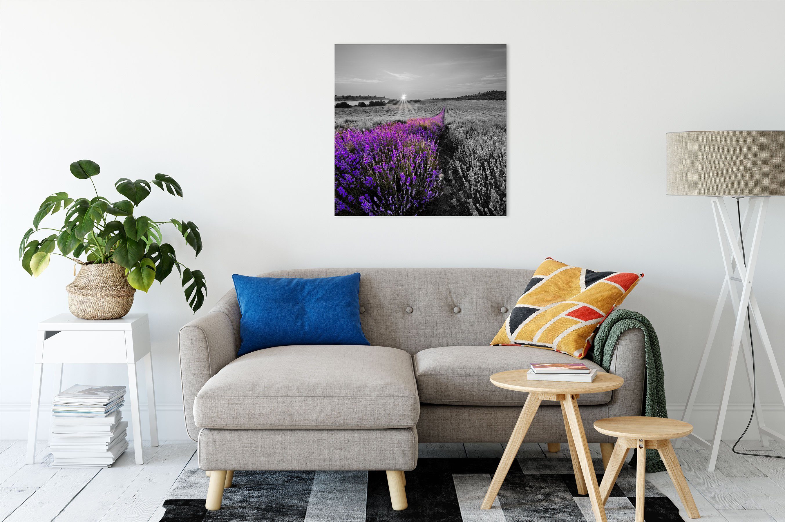 in Leinwandbild Zackenaufhänger in inkl. fertig Leinwandbild bespannt, Lavendelfeld Pixxprint Frankreich (1 Frankreich, St), Lavendelfeld