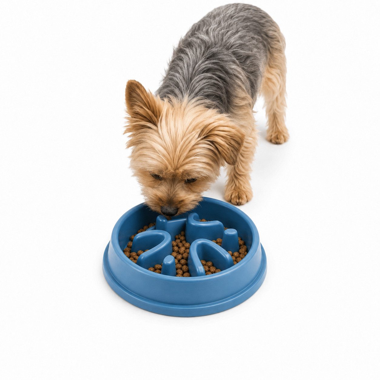 XEOOCE Anti-Schlabber-Napf Anti-Schling-Napf für Hunde, Futternapf Ø 21 cm, Rutschfest, Kunststoff lebensmittelecht, Anti-Schling-Napf
