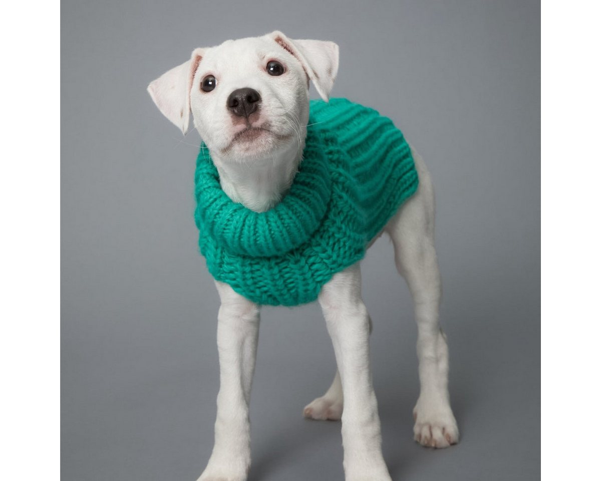 Thumbnail - PAIKKA Hundepullover Hunde Strickpullover "Knit Sweater" green