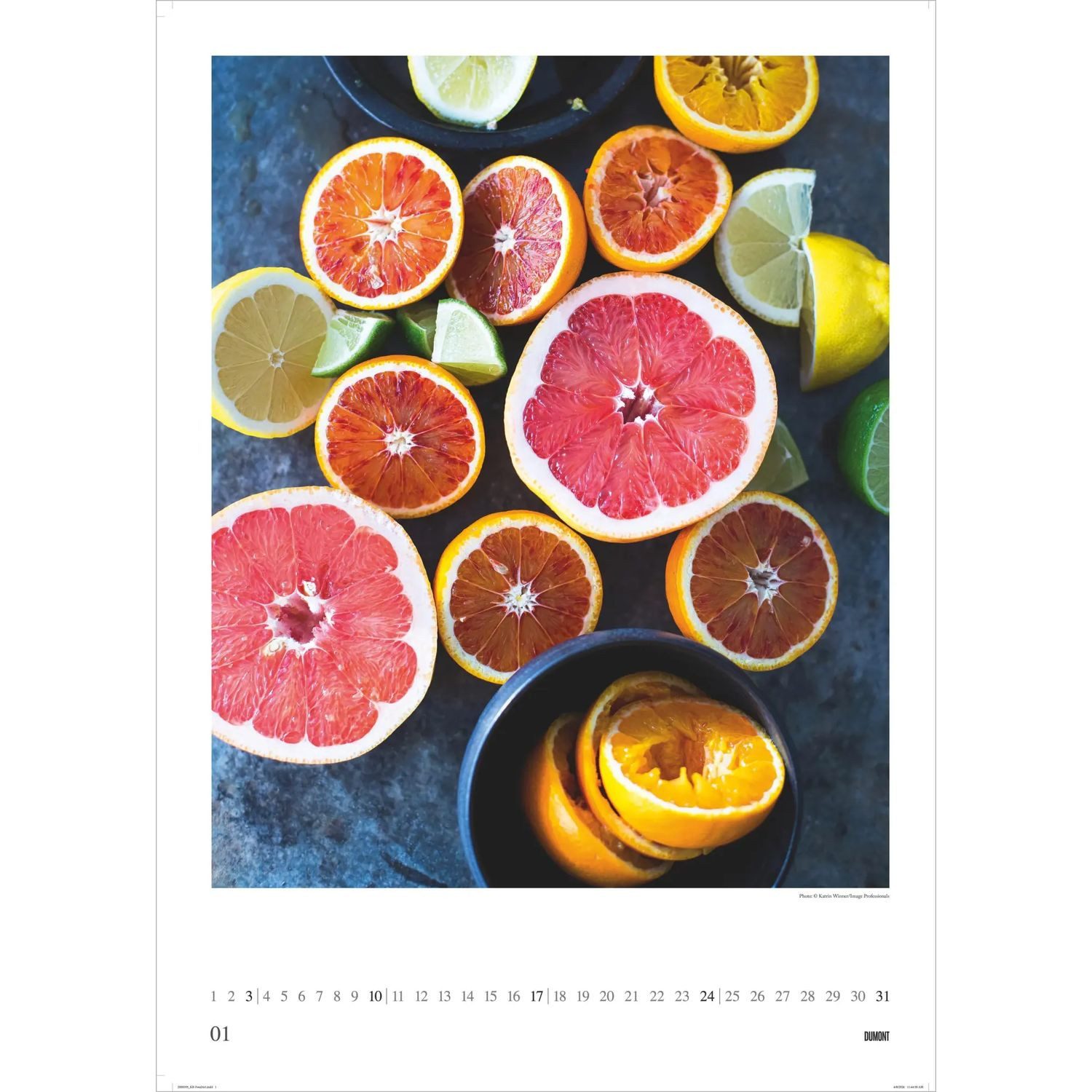 DUMONT Wandkalender Food Art 2027