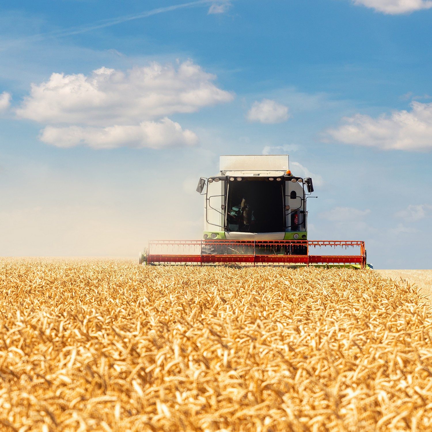 Wallario Möbelfolie Erntezeit auf dem Feld