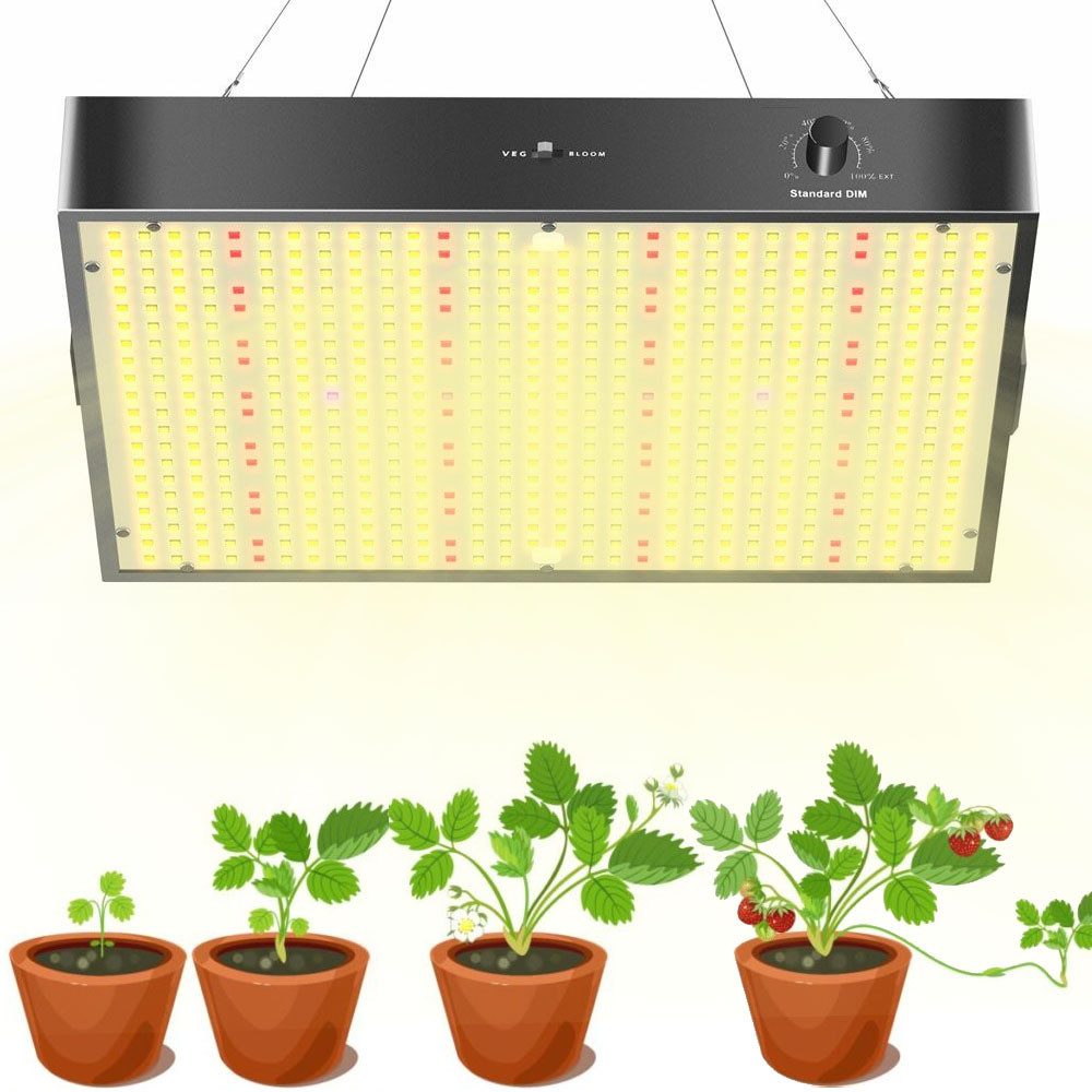JOYOLEDER Pflanzenlampe LED Wachstumslampe PB1000 LED günstig online kaufen