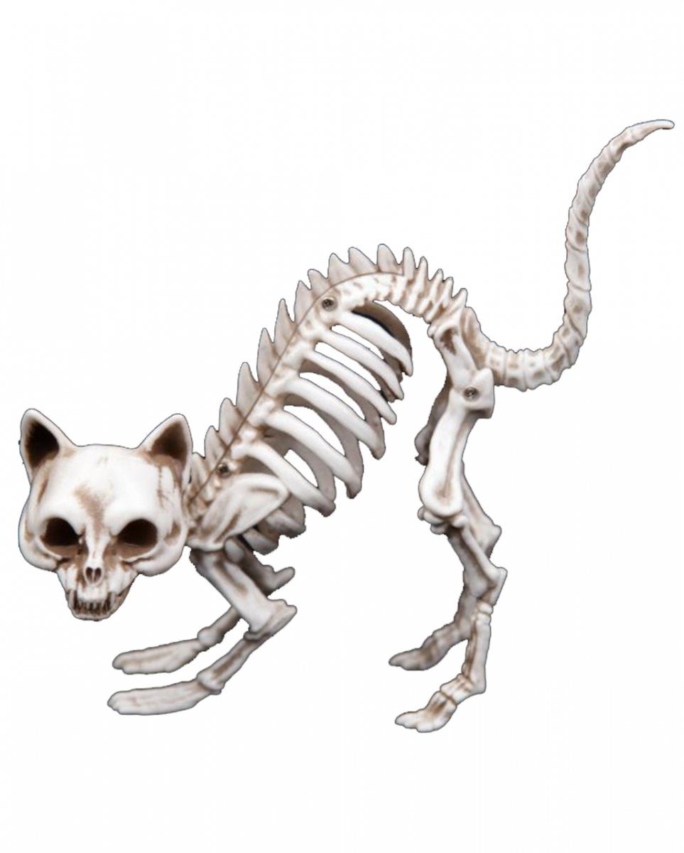 Horror-Shop Dekofigur Katzenbuckel mit Katzenskelett als Knochengerippe
