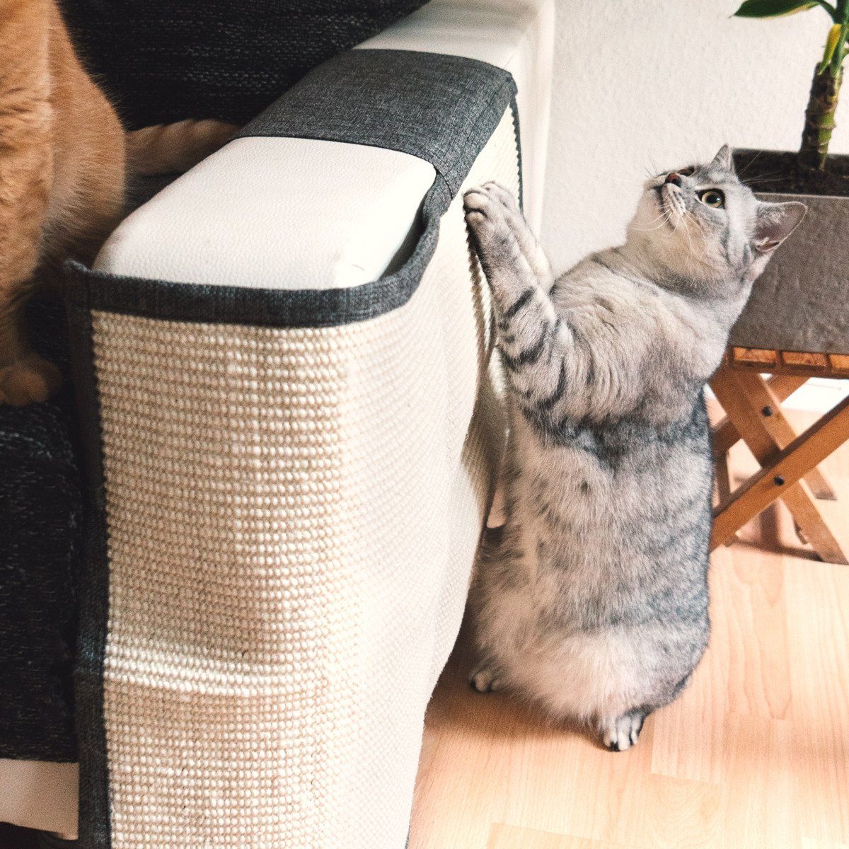 Navaris Kratzpappe Katzen Kratzmatte Kratzschutz Sofa günstig online kaufen