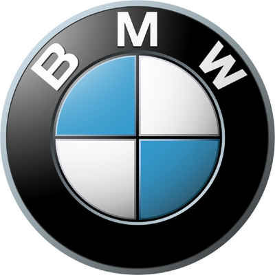 BMW Bremsbelag Bremsscheibe hinten mit Beläge und Fühler (1-St)