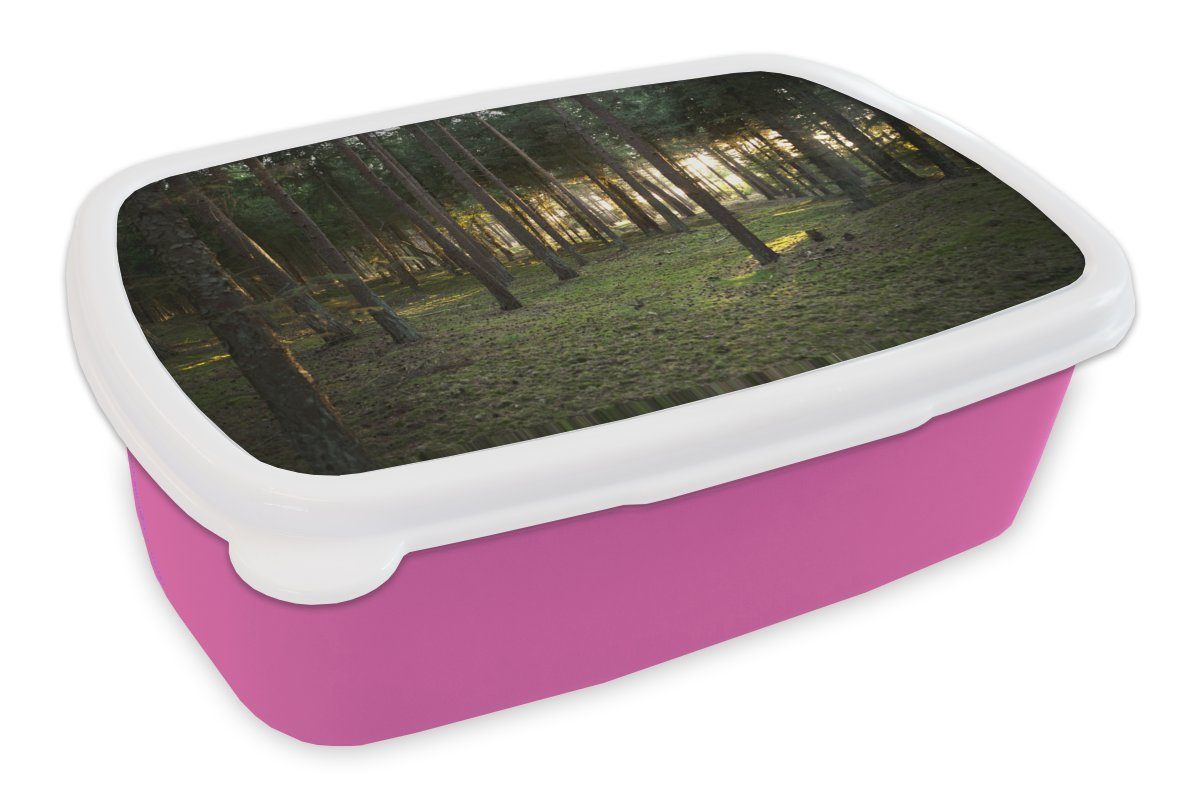 MuchoWow Lunchbox Baum - Sonne - Gras, Kunststoff, (2-tlg), Brotbox für Erwachsene, Brotdose Kinder, Snackbox, Mädchen, Kunststoff rosa