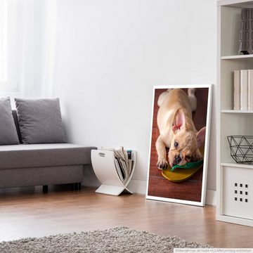 Sinus Art Poster 60x90cm Poster Tierfotografie  Süße Französische Bulldogge mit Flip Flop