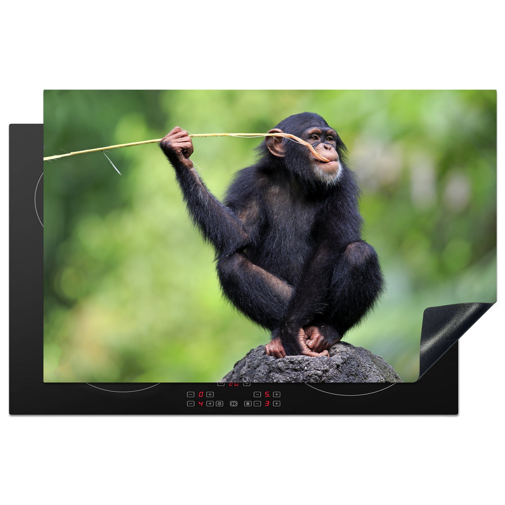 MuchoWow Herdblende-/Abdeckplatte Schimpanse mit Ast im Maul, Vinyl, (1 tlg), 81x52 cm, Induktionskochfeld Schutz für die küche, Ceranfeldabdeckung