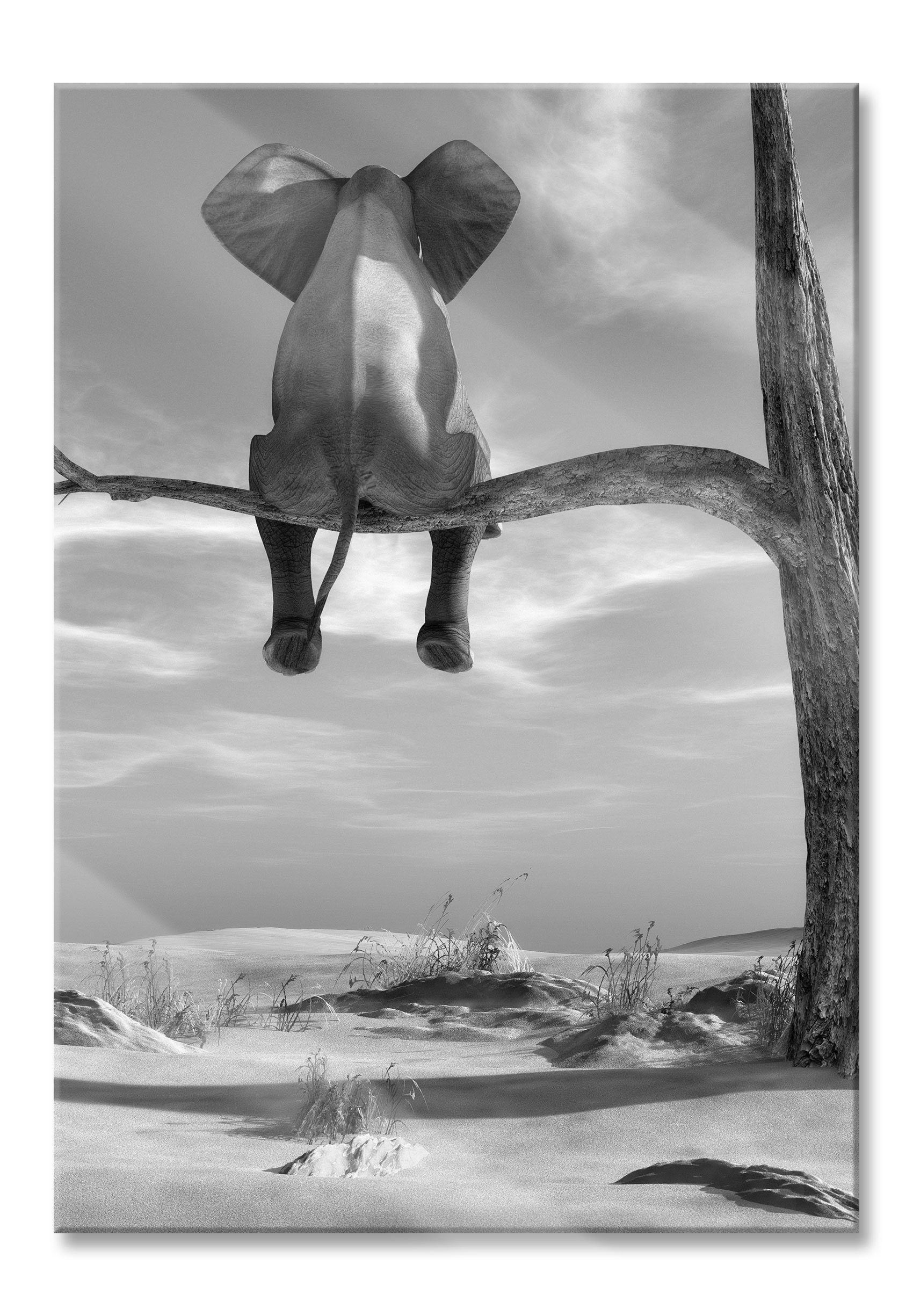 Glasbild Elefant auf einem Ast in der Wüste