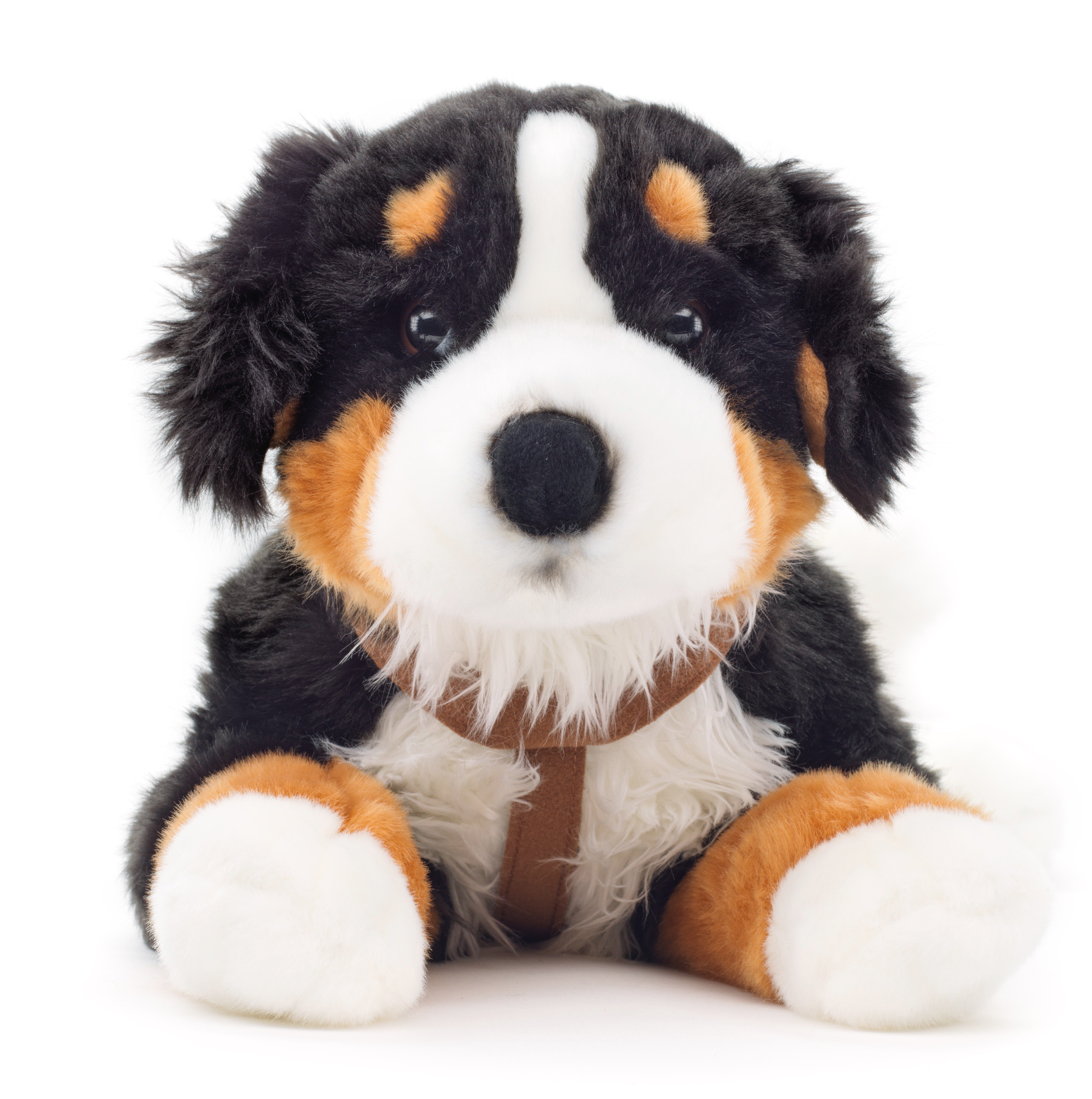 Uni-Toys Kuscheltier Berner Sennenhund mit Geschirr - 62 cm - Plüsch-Hund - günstig online kaufen