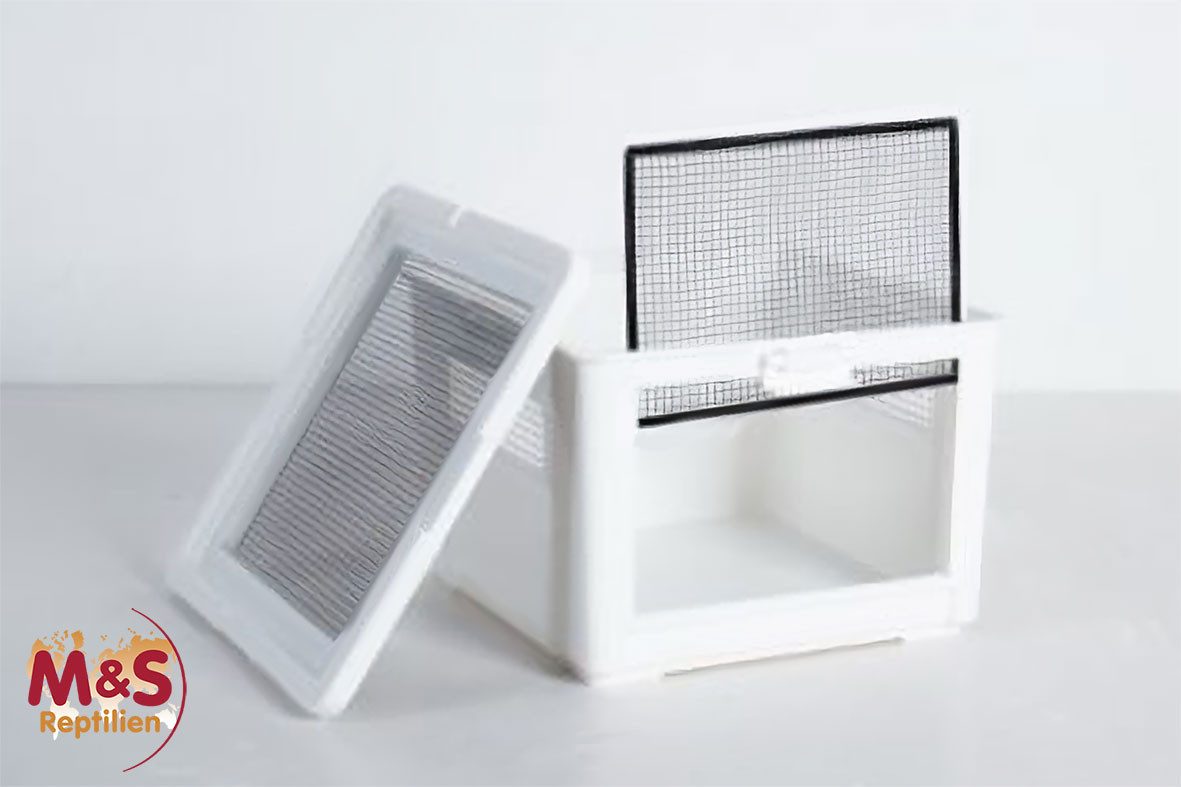 ReptiZoo Terrarium Kunststoffterrarium / Kleintierkäfig / Transportbox -small- 31x31x321c