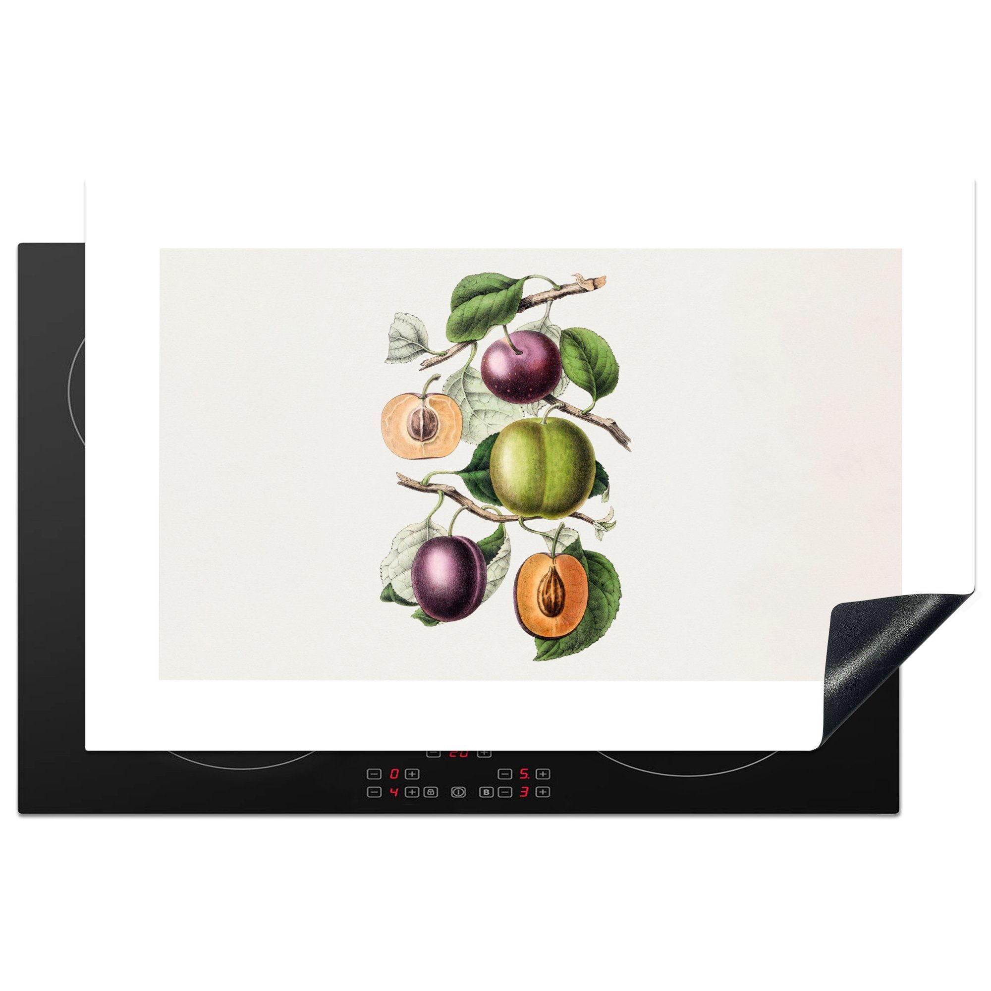 Obst Herdblende-/Abdeckplatte Schutz - die Ceranfeldabdeckung (1 Vinyl, MuchoWow - Induktionskochfeld Lebensmittel tlg), für 81x52 cm, küche, Pfirsich,