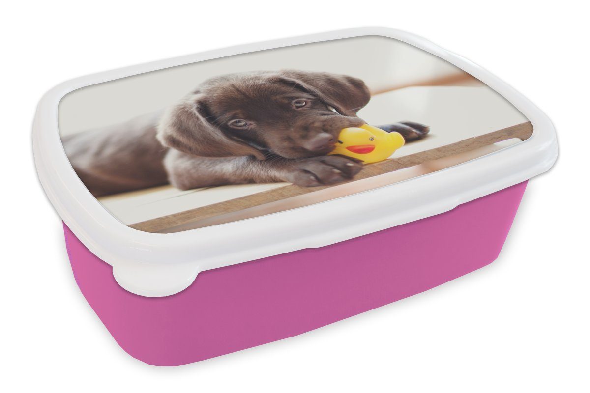 rosa Erwachsene, Retriever Mädchen, Lunchbox Kinder, Welpe, MuchoWow Brotdose Kunststoff, Schokolade Kunststoff für Labrador (2-tlg), Brotbox Snackbox,