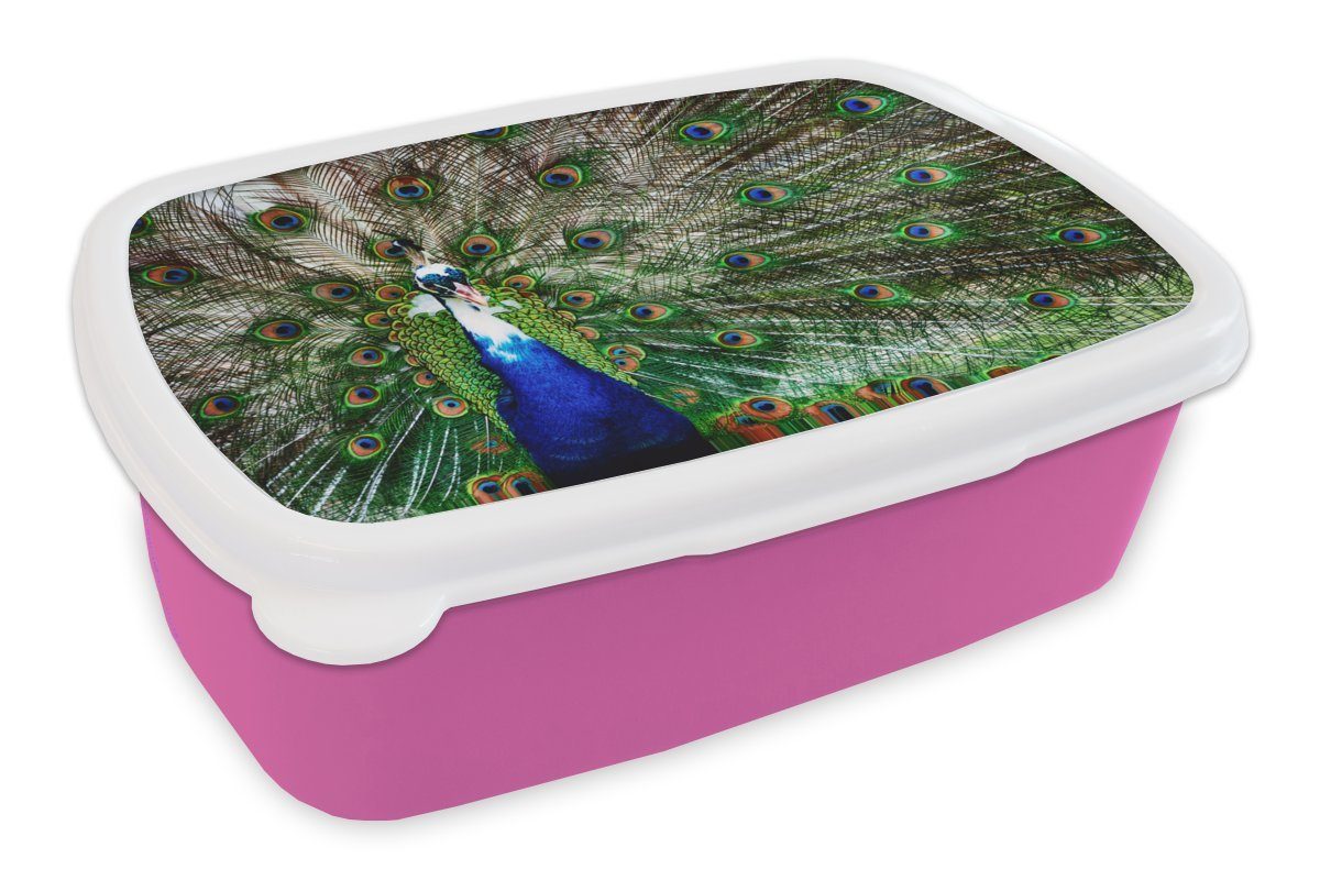 MuchoWow Lunchbox Pfau - Federn - Weiß - Blau, Kunststoff, (2-tlg), Brotbox für Erwachsene, Brotdose Kinder, Snackbox, Mädchen, Kunststoff rosa