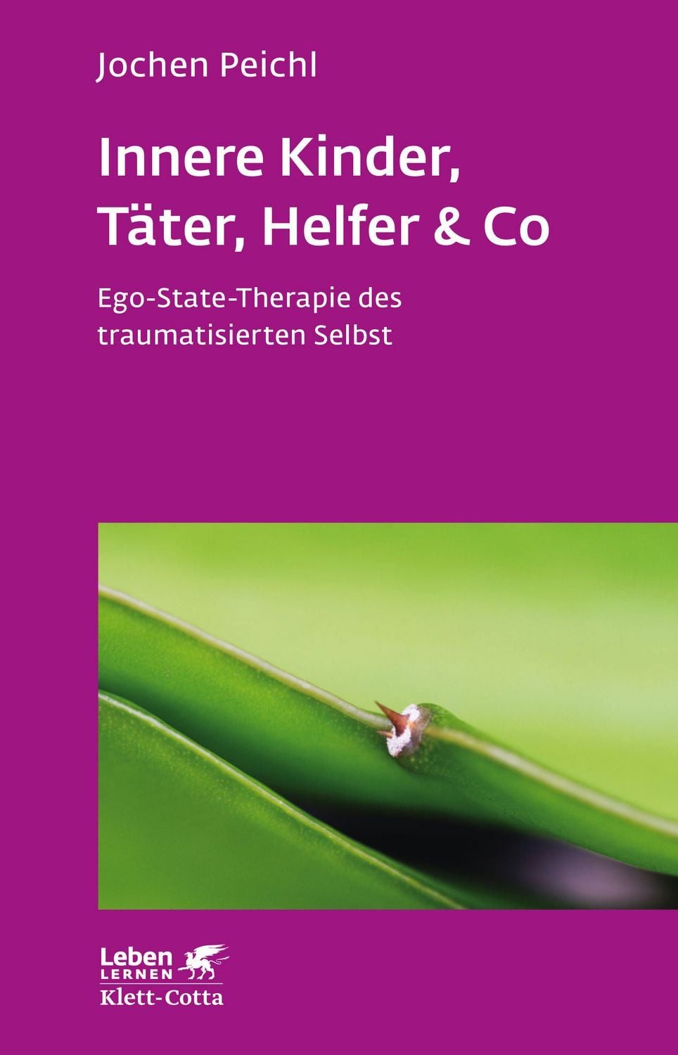 Innere Kinder, Täter, Helfer & Co (Leben Lernen, Bd. 202) / Jochen Peichl