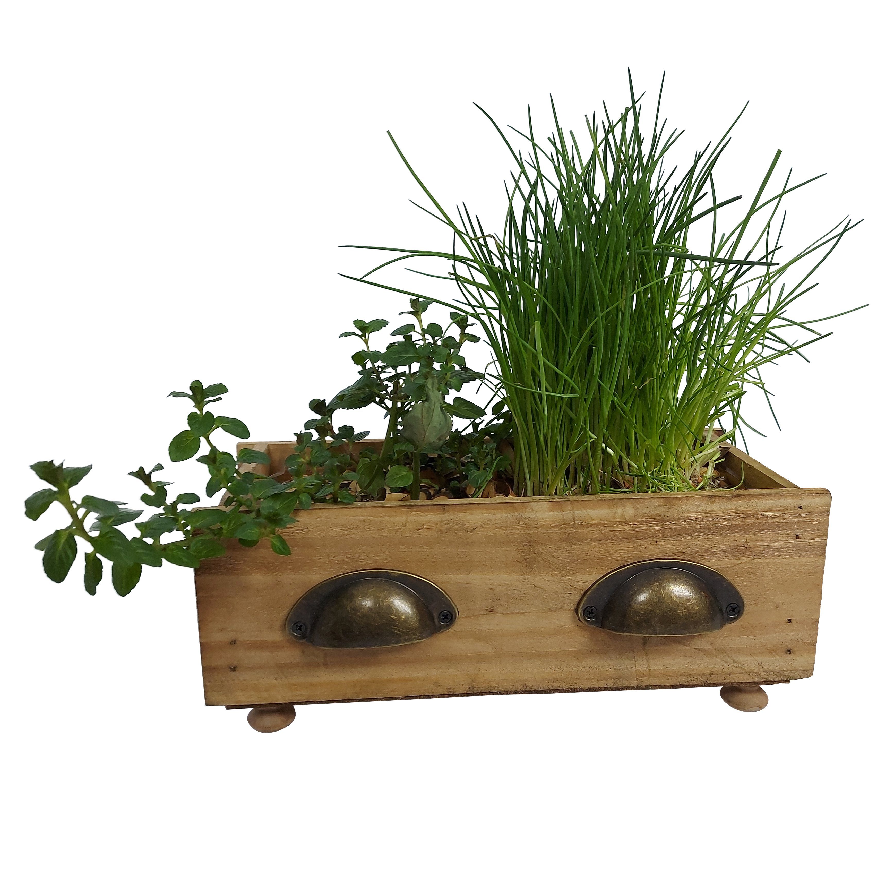 Online-Fuchs Blumentopf Schubladen für Kräuter und Blumen, Blumenkasten, Kräutertopf (2er Set), Foliert
