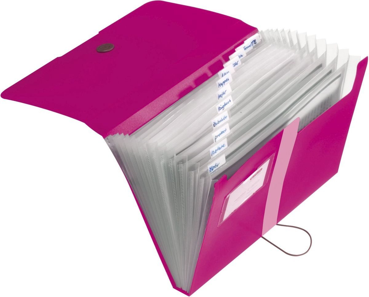 Herlitz Fächermappe Fächermappe A4 PP 12 Fächer beere to go günstig online kaufen