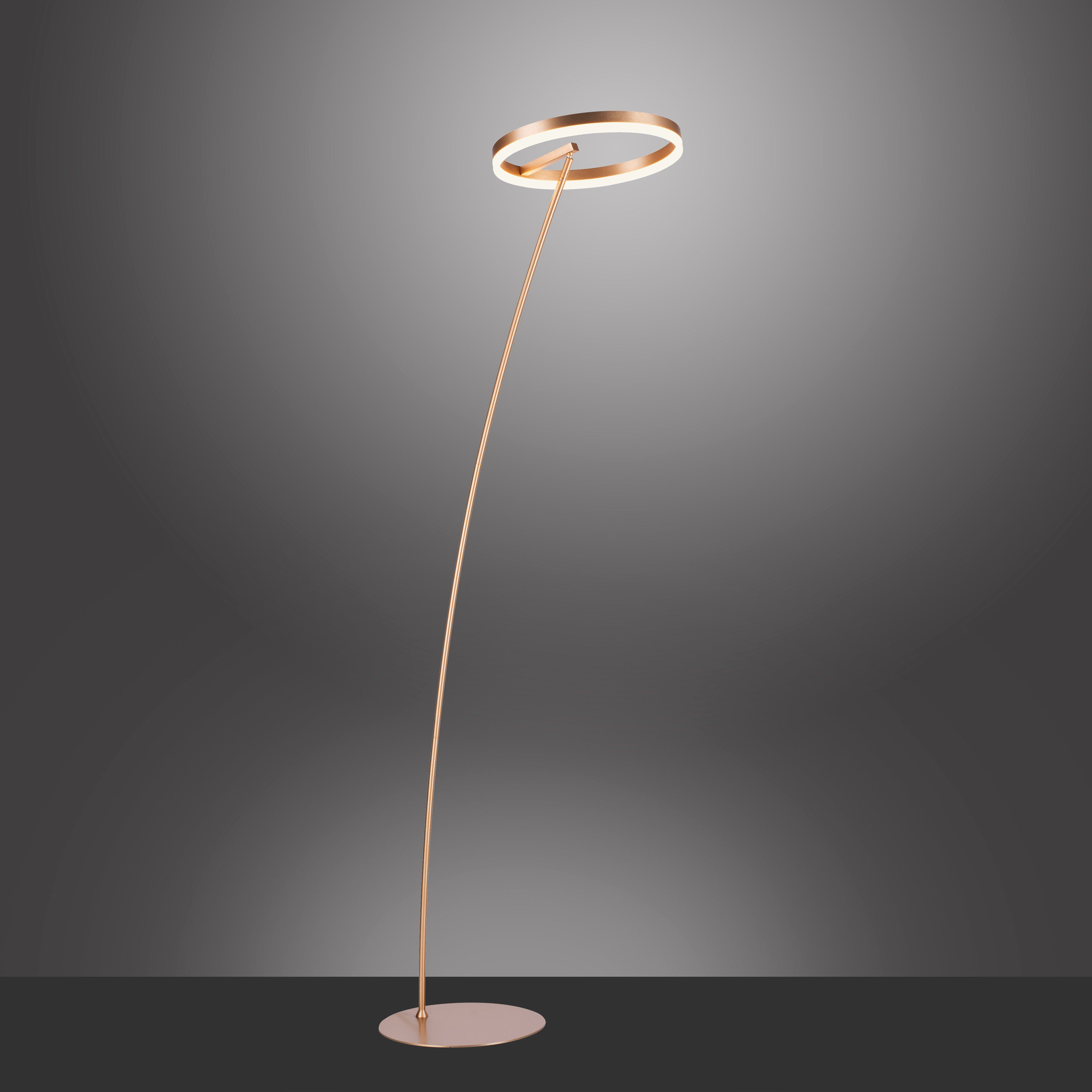 Paul Neuhaus Warmweiß, dimmbar Stehlampe LED, Schnurdimmer über LED fest TITUS, integriert