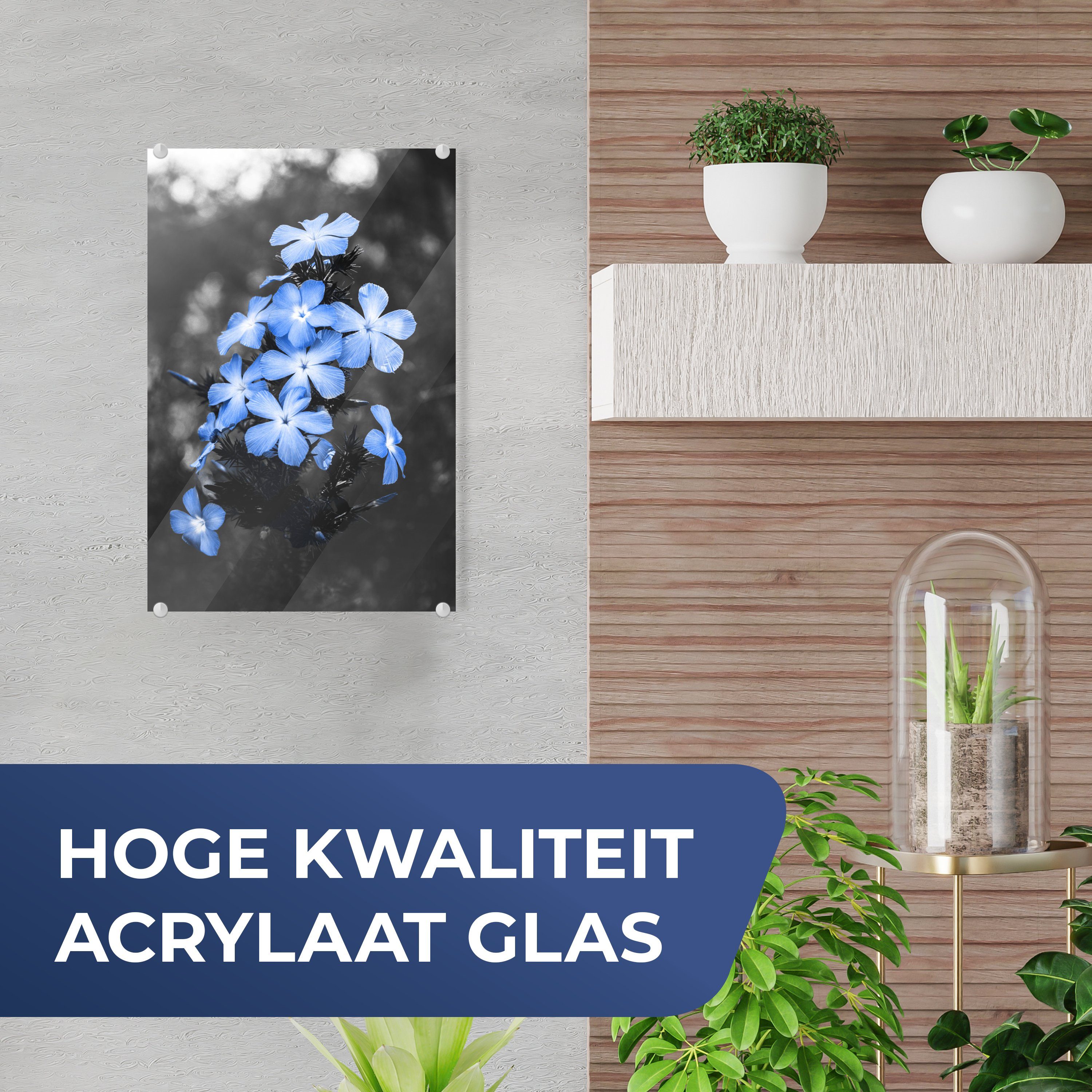 Foto Schwarz - Blau, MuchoWow - St), auf (1 Wanddekoration Glas - Glasbilder - Bilder auf Glas Blumen Weiß Wandbild - - Acrylglasbild